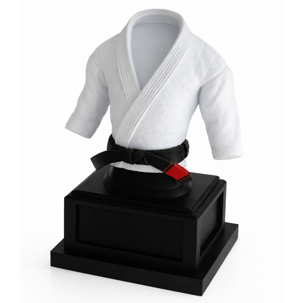Martial Arts Display Interchangeable Belts
