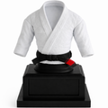 Martial Arts Display Interchangeable Belts