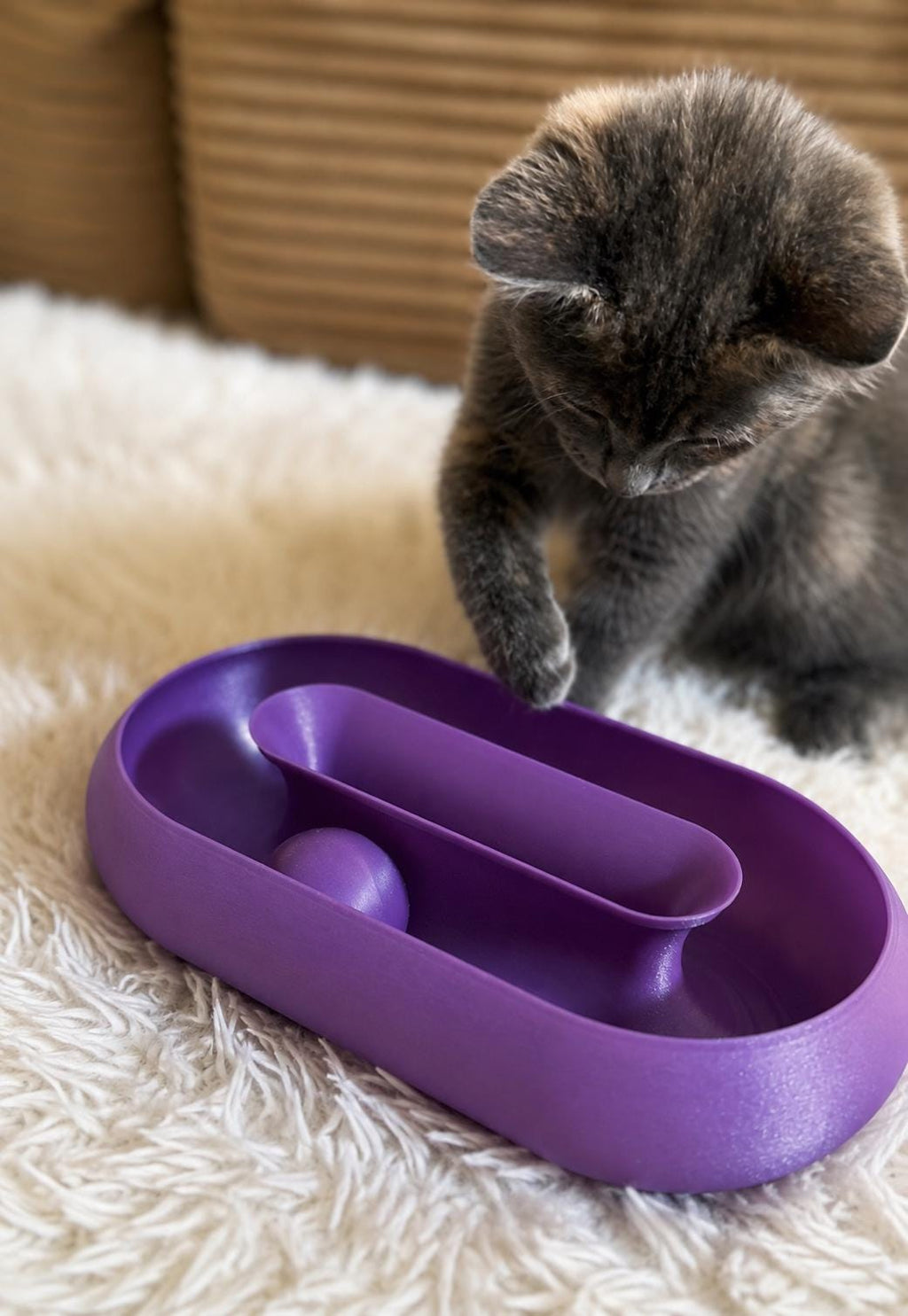 Interactive Cat Toy | Rolling Ball for Indoor Cats